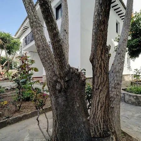 Apartment Serali Parking Gratis Ronda